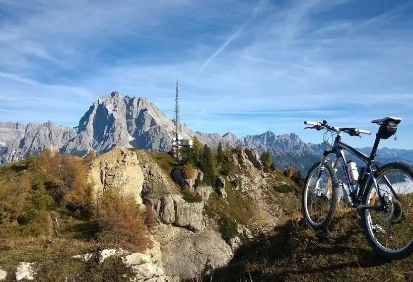 酒店 Belvedere Dolomiti