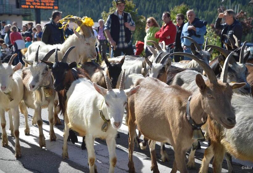 בית מלון כפרי Belvedere Dolomiti
