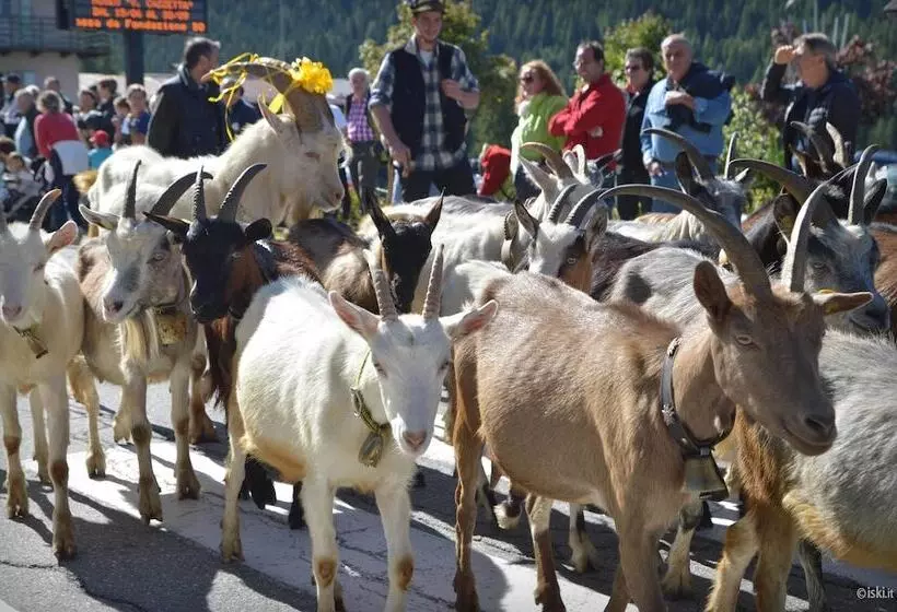 酒店 Belvedere Dolomiti