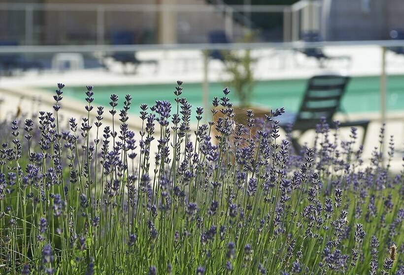 Cit Hotel Les Alizés