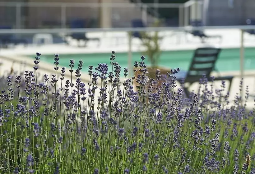 Cit Hotel Les Alizés