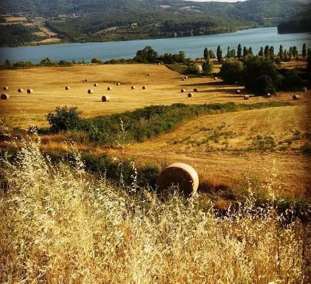 בית מלון כפרי Inn