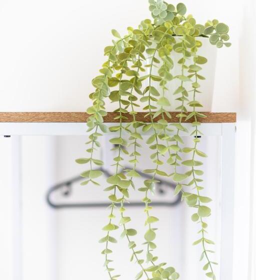 בית מלון כפרי Katina