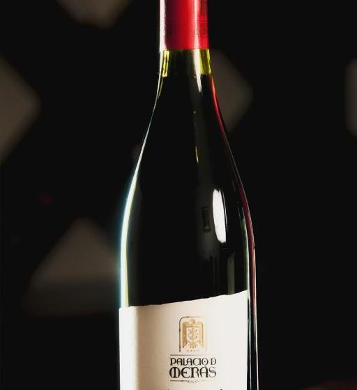 فندق Palacio De Meras