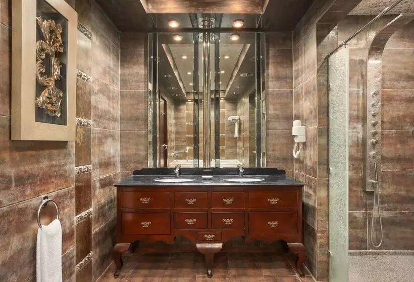 Radisson Blu Hotel & Convention Center, Alexandria