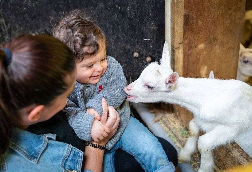 Hotel Vvf Bleriotplage