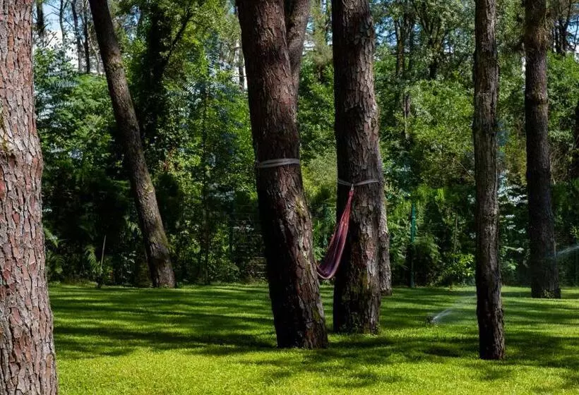 Buxus Hotel Shekvetili