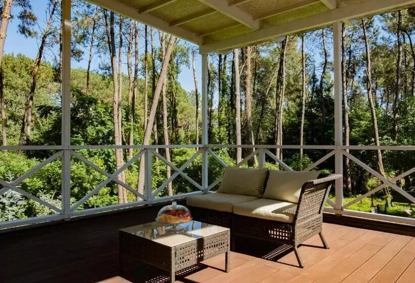 Buxus Hotel Shekvetili