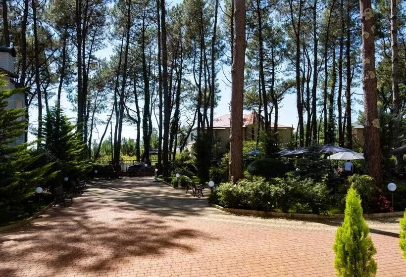 Buxus Hotel Shekvetili