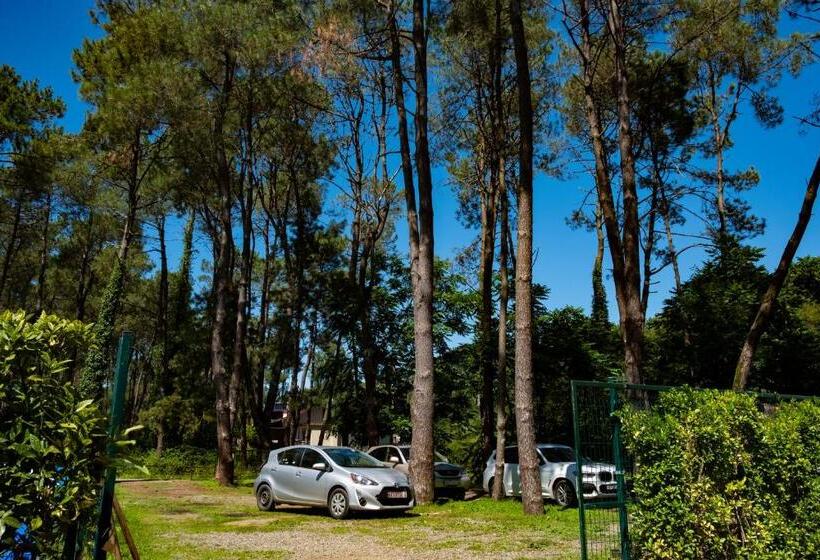 Buxus Hotel Shekvetili