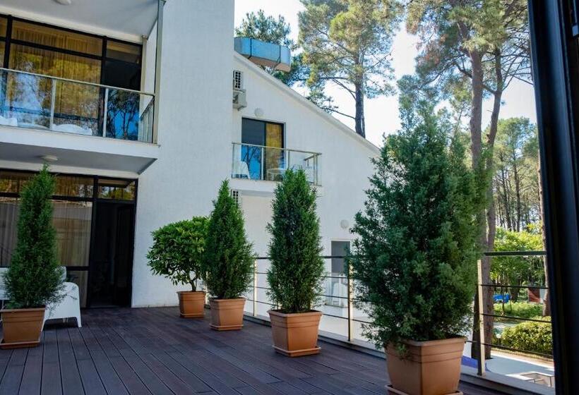 Buxus Hotel Shekvetili