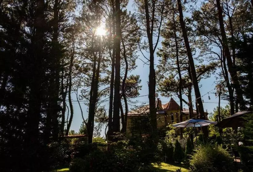 Buxus Hotel Shekvetili