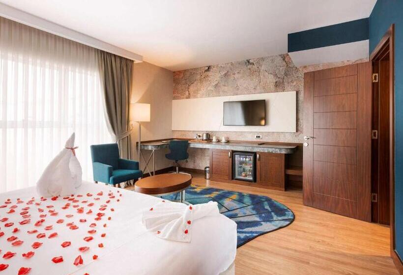 ホテル Mercure Istanbul Bakirkoy