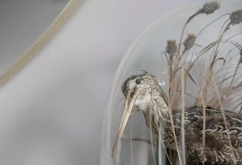 בית מלון כפרי Pembroke Hall