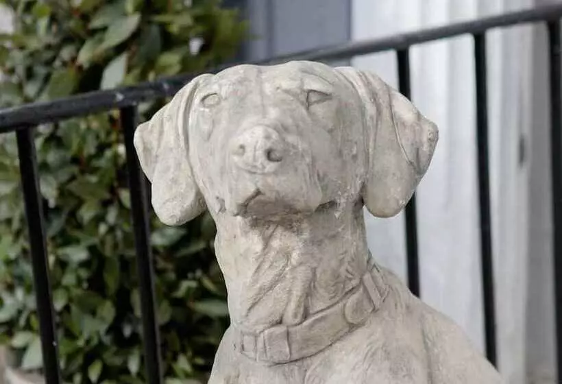 בית מלון כפרי Pembroke Hall