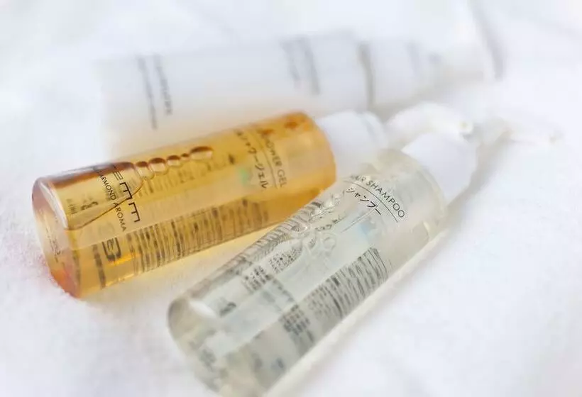 בית מלון כפרי Remm Hibiya