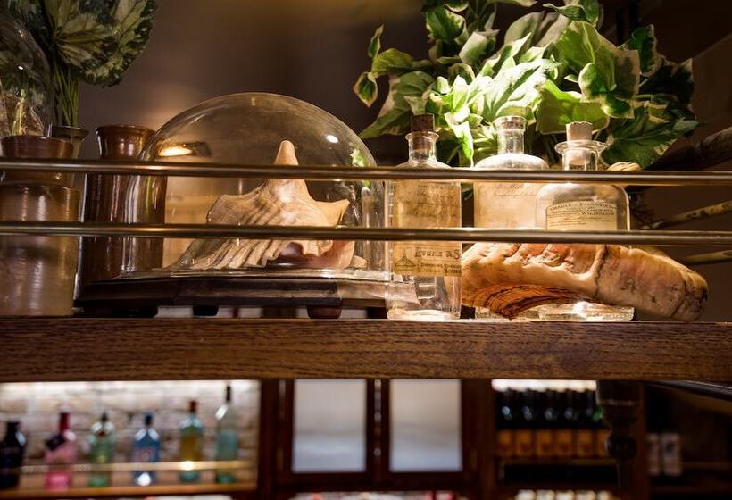 فندق The Seaton Lane Inn   The Inn Collection Group