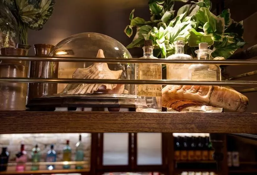 酒店 The Seaton Lane Inn   The Inn Collection Group