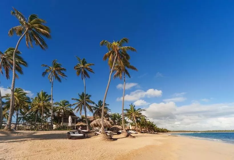 リゾートホテル Zoetry Agua Punta Cana   All Inclusive