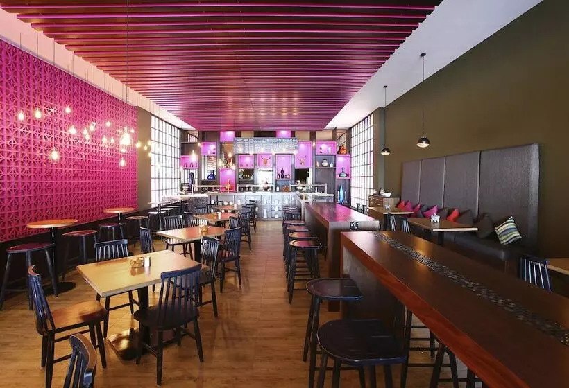 渡假胜地 Select Club At Sandos Playacar All Inclusive Adults Only Area