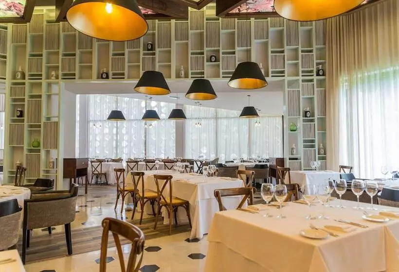 渡假胜地 Select Club At Sandos Playacar All Inclusive Adults Only Area