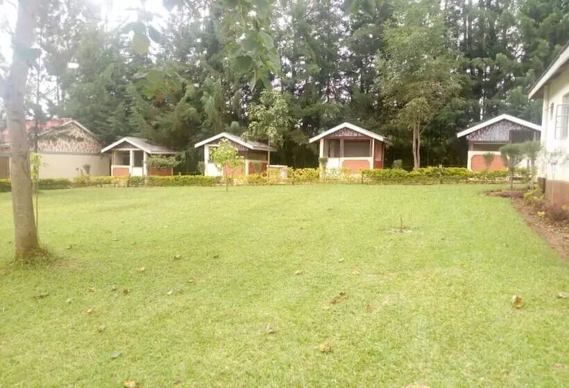 تختخواب و صبحانه Le Voyage Resort