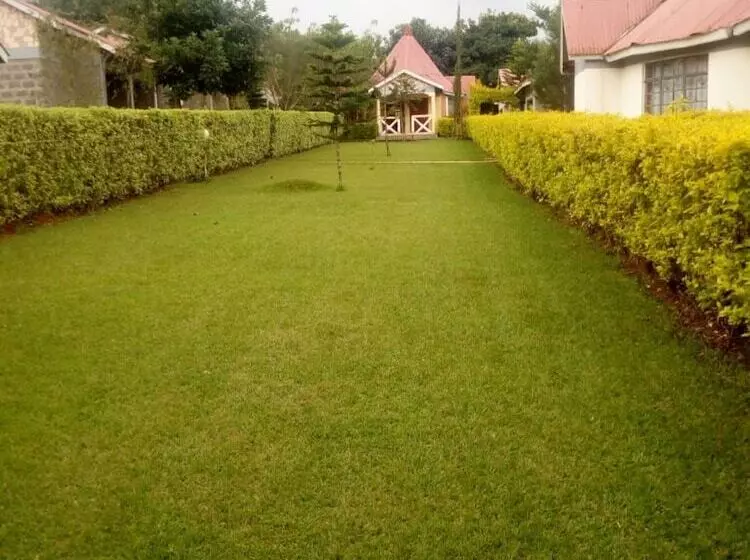 تختخواب و صبحانه Le Voyage Resort