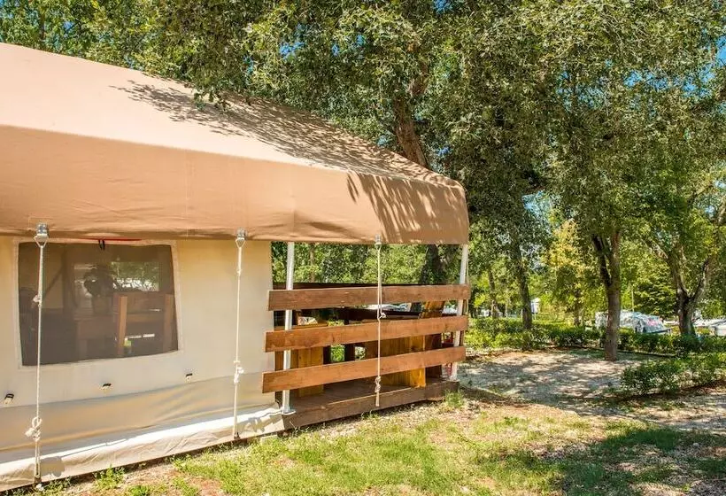 ホテル Sunflower Camping