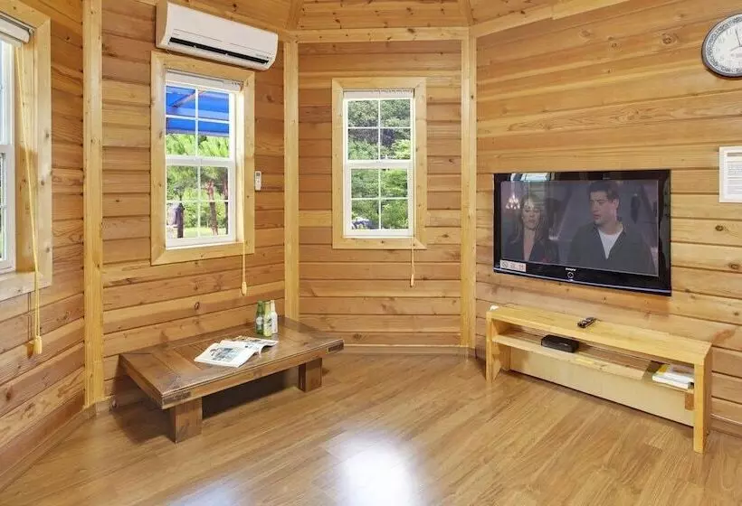 Hwacheon Parprika Yellow Pension