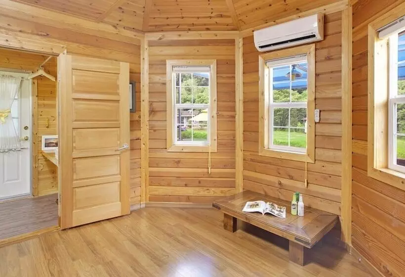 Hwacheon Parprika Yellow Pension