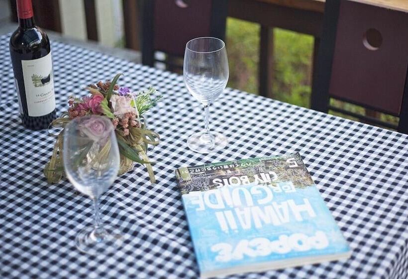 Hwacheon Parprika Yellow Pension