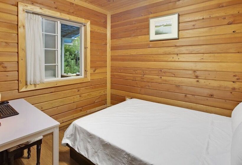 Hwacheon Parprika Yellow Pension