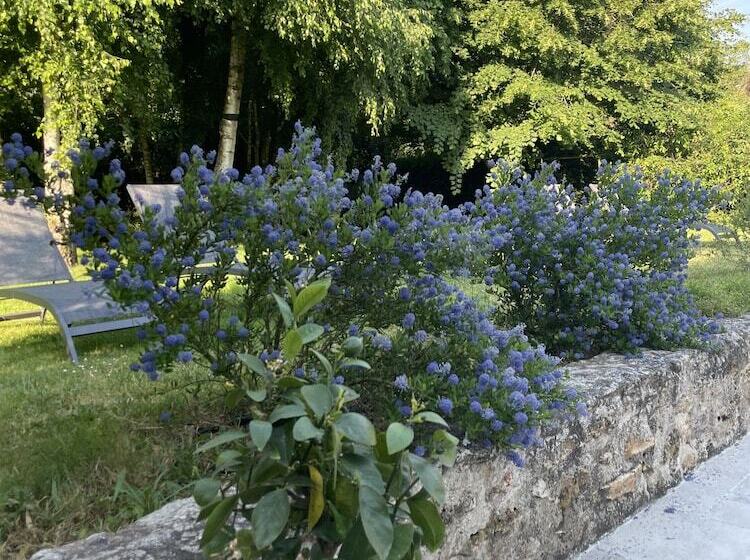 بنسيون Villa Cassandre