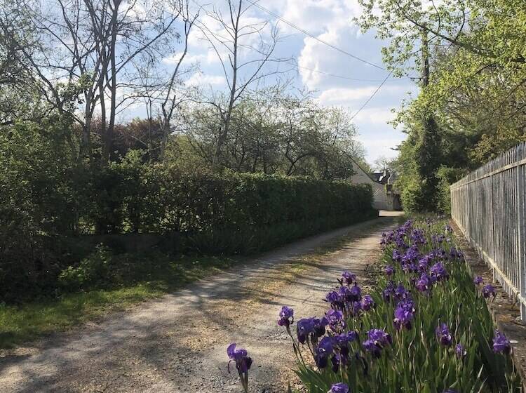 بنسيون Villa Cassandre