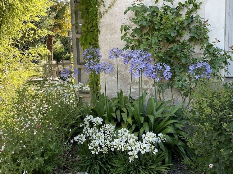 بنسيون Villa Cassandre