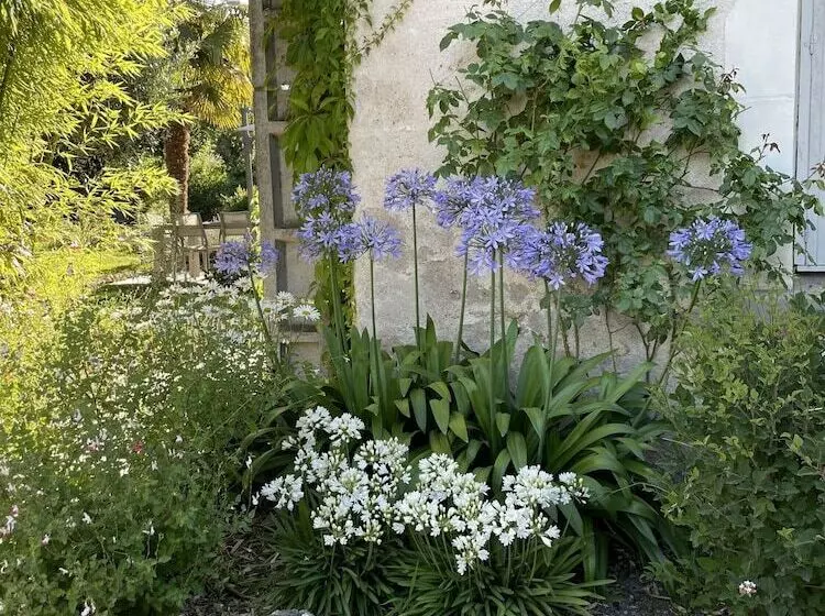 Majatalo Villa Cassandre