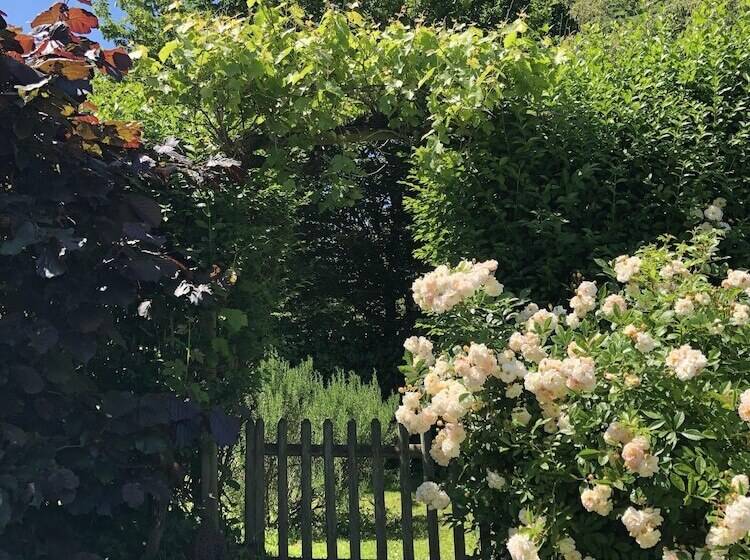 بنسيون Villa Cassandre