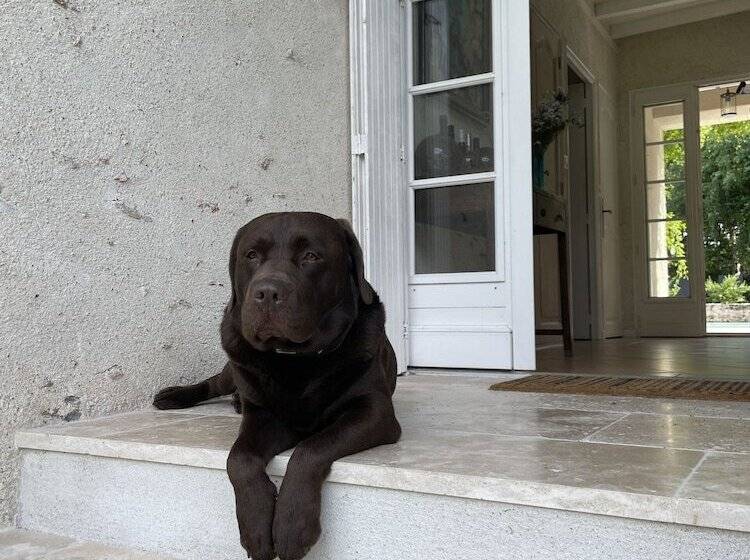 بنسيون Villa Cassandre