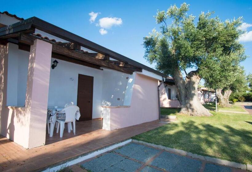 渡假胜地  Cilento Dreams Village