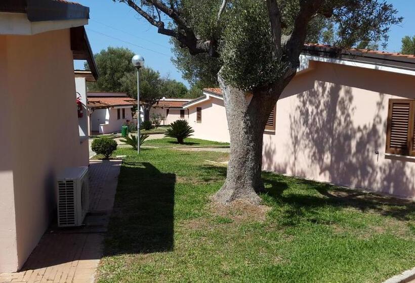 渡假胜地  Cilento Dreams Village