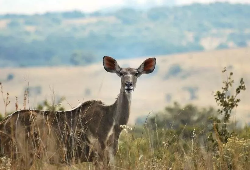 Hotelli B Sorah Luxury Tent & Venue