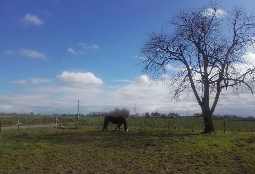 Hotelli Jeanne Et Compagnie