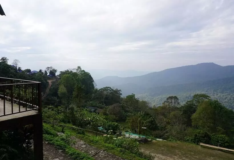 ホテル Phumork Camp Phu Chi Fa