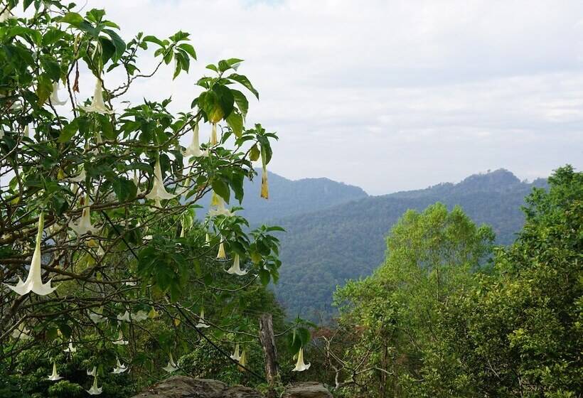 酒店 Phumork Camp Phu Chi Fa