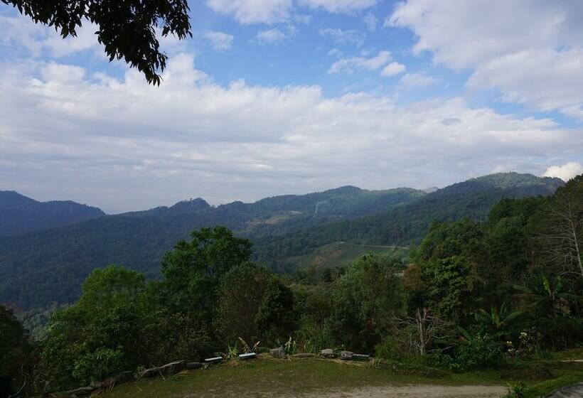 酒店 Phumork Camp Phu Chi Fa