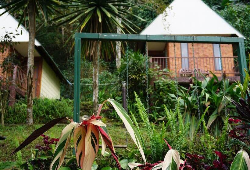 酒店 Phumork Camp Phu Chi Fa