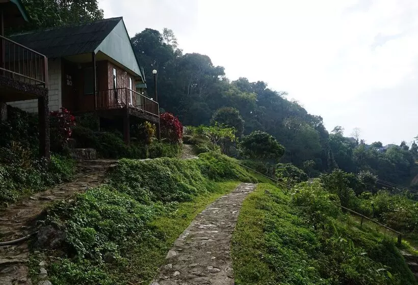 ホテル Phumork Camp Phu Chi Fa