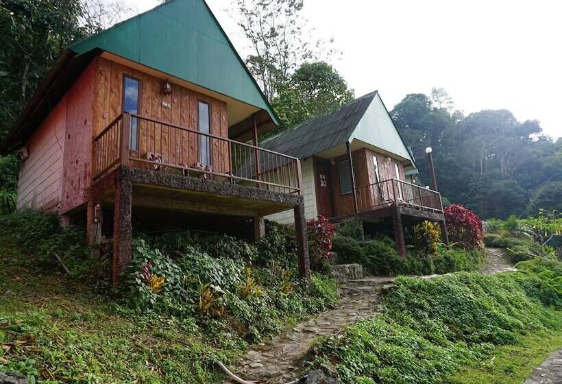 酒店 Phumork Camp Phu Chi Fa