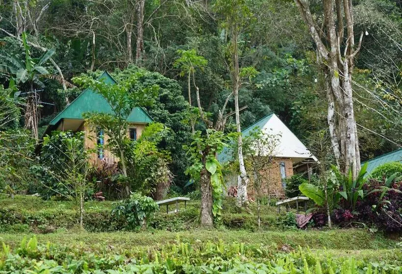 ホテル Phumork Camp Phu Chi Fa