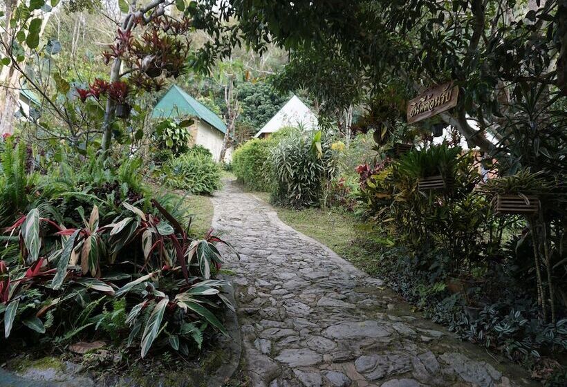 酒店 Phumork Camp Phu Chi Fa